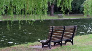 河边绿树下的公园长椅。视频素材模板下载
