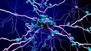 衰老大脑中的神经元或神经元中的蛋白质死亡视频素材模板下载