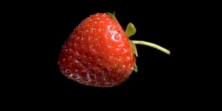 悬浮红草莓。旋转成熟的草莓在空中飞行孤立在黑色的背景。特写镜头，相机360度旋转。