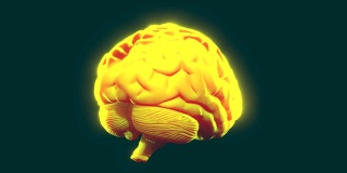 黄色的大脑转动。三维动画