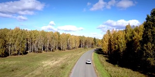 空中汽车沿着蜿蜒穿过白桦林的道路行驶