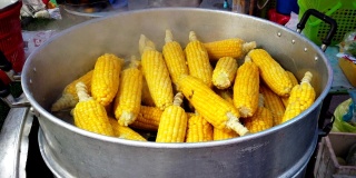 热锅里的黄色玉米。美味的小甜玉米。煮玉米棒子，在沸水玉米与维生素有益健康。泰国街头快餐