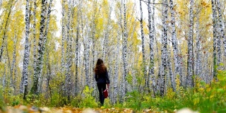 带着红色提包的长发女孩在金色的桦树中漫步