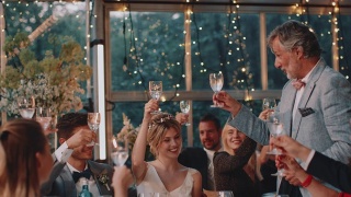 父亲问候新婚夫妇，举杯祝酒视频素材模板下载