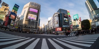 4K时间的推移，日本东京涩谷地区的日本和外国游客在晚上走过人行横道，日本文化概念