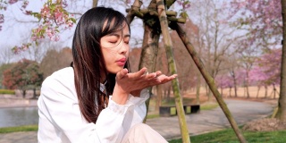 穿着白衬衫的美丽中国女人手里吹着樱花花瓣，4k视频，慢镜头。