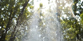 水滴水从喷泉在绿树的背景，慢动作