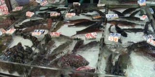 卖鱼，街市，丰富多彩的香港街头美食生活