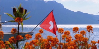 瑞士国旗上的背景，高山和鲜花日内瓦湖附近