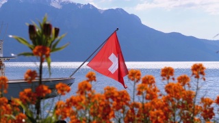 瑞士国旗上的背景，高山和鲜花日内瓦湖附近视频素材模板下载