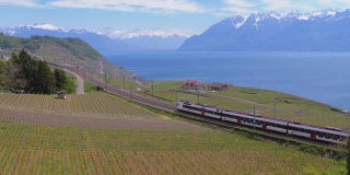 瑞士火车沿着一条风景优美的铁路在日内瓦湖附近的山坡上行驶。瑞士