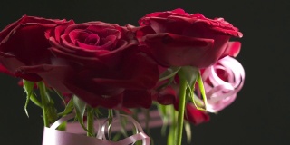 红玫瑰花束旋转特写。黑色背景上的一束红玫瑰。