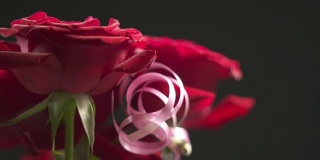 红玫瑰花束旋转特写。黑色背景上的一束红玫瑰。