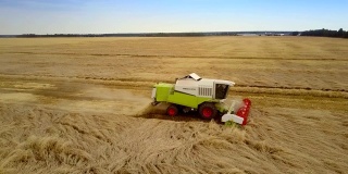近景联合收割机在田间收获丰富的黑麦作物，扬起灰尘
