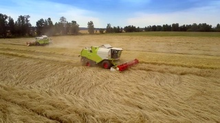 联合收割机收获了丰富的小麦作物，使秸秆在田间滚动视频素材模板下载