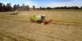 联合收割机收获了丰富的小麦作物，使秸秆在田间滚动