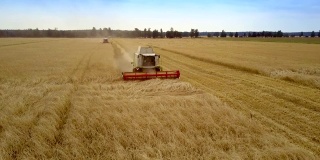 鸟瞰图收割机在黄田中操作小麦