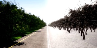 夏季和冬季道路运动3d现实镜头。季节性景观。年循环和时间变化，概念动画。寒冷和温暖的天气。落雪在森林抽象视频
