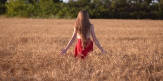 晚霞中，身着红裙的女孩走在成熟的麦田里，背景是一片绿色的森林