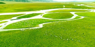 鸟瞰河景与羊场