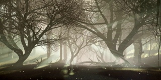 可怕的夜森林与神秘的萤火虫灯