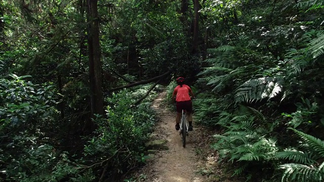女子自行车越野自行车在热带雨林