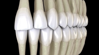 牙齿咬合，宏观视图。医学上准确的牙齿3D动画。视频素材模板下载