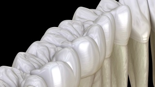 下颌牙齿，宏观视图。医学上准确的牙齿3D动画。视频素材模板下载