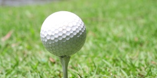 高尔夫球在地上，在木上，绿色的，高尔夫球，流行于泰国。