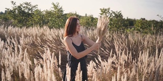 一位美丽的年轻女子在田野里收集了一束鲜花和小穗。日落或日出时，有吸引力的女性在草地上的肖像