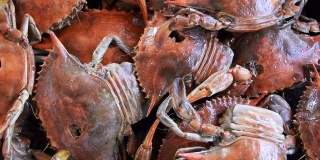 煮红蟹，美味健康的海鲜