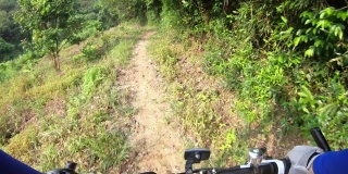 越野自行车在森林小径上骑自行车