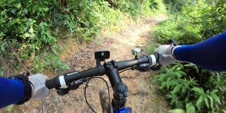 越野自行车在森林小径上骑自行车