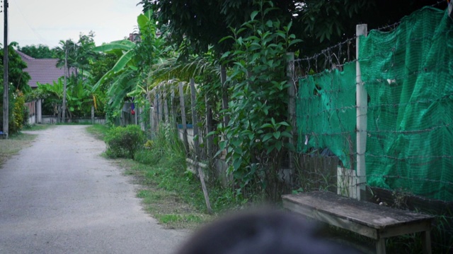 亚洲小女孩画着一张脸在万圣节玩惊吓游戏。