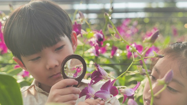 小男孩和小女孩在花园里用放大镜探索大自然，寻找昆虫。排出,孩子,人,技术、春天、科学,夏天,有趣的概念。