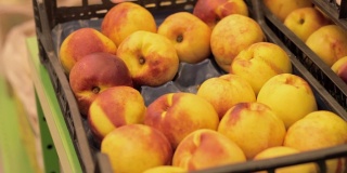 一位素食孕妇在超市按库存挑选油桃。漂亮而成熟的水果放在篮子里。手拿健康食品。