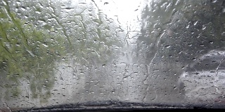 在大雨中开车可能会危及生命，为了安全，应该先停止人行道