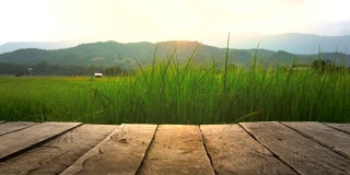 老棕色的木地板旁边的绿色稻田在晚上在泰国使用视频背景，4K分辨率滑块相机拍摄