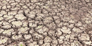 在气候变化、干旱灾害、全球变暖期间拍摄的干燥龟裂的土地
