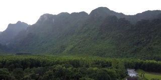 山脉覆盖着绿色浓密的热带森林