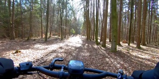 在阳光明媚的冬季森林里骑山地自行车