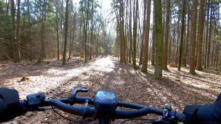 在阳光明媚的冬季森林里骑山地自行车视频素材模板下载