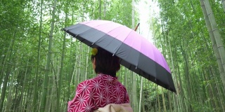 一名年轻女子在京都的竹林中行走