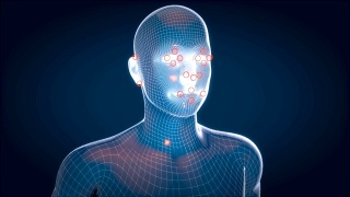 人体x射线，人体解剖面部识别，3D动画视频素材模板下载