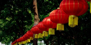 中国装饰灯笼。纸灯笼挂在户外的公园里。股票视频…