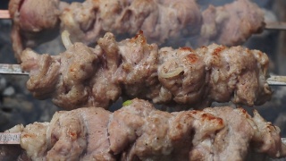 熏烤肉架上烤腌肉。特写新鲜肉串在烧烤架上视频素材模板下载