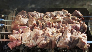 户外烧烤生肉。把新鲜的肉串放在木炭烤架上视频素材模板下载