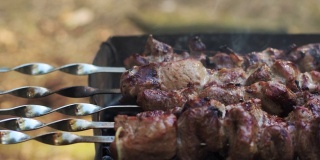 鲜肉串在热木炭烤架上烤着。特写准备烤肉