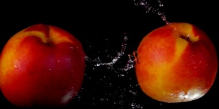 两个熟透了的甜桃子在黑色背景上碰撞