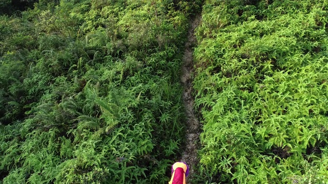鸟瞰图的女人超级马拉松赛跑累了，在热带雨林的山坡上休息，4k